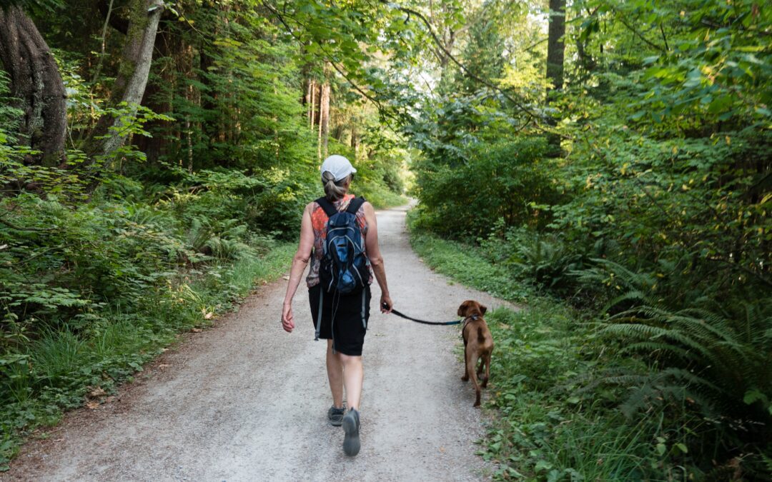 Ensure Your Dog’s Safety During Walks With These Tips