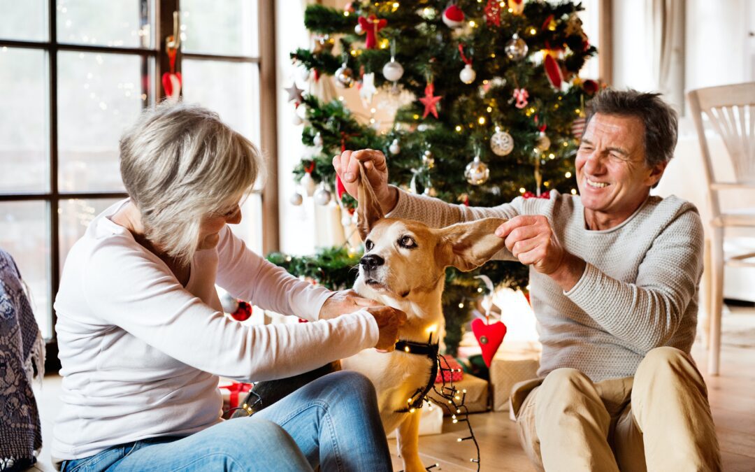 Ensuring Festive Bliss for Senior Pets: Tips for a Joyful Holiday Season
